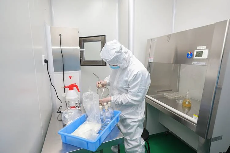 Microbiology laboratory at the ISO 13485 medical molding facility: technician in full cleanroom suit working at a biosafety cabinet with sample bags, media bottles and plated culture dishes